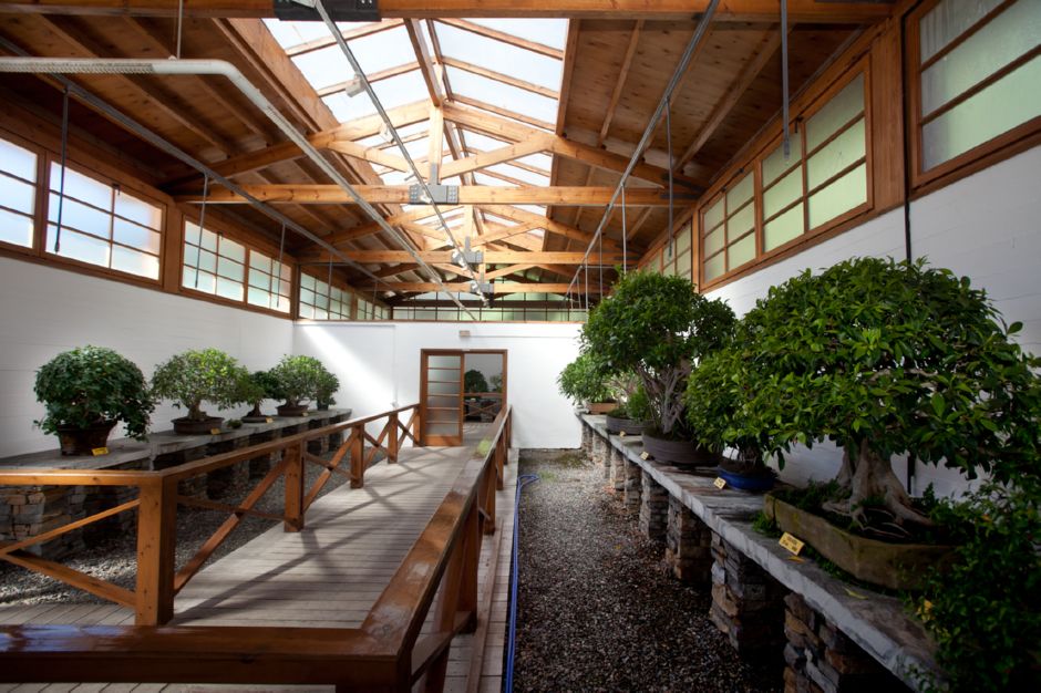 Bonsai Museum marbella