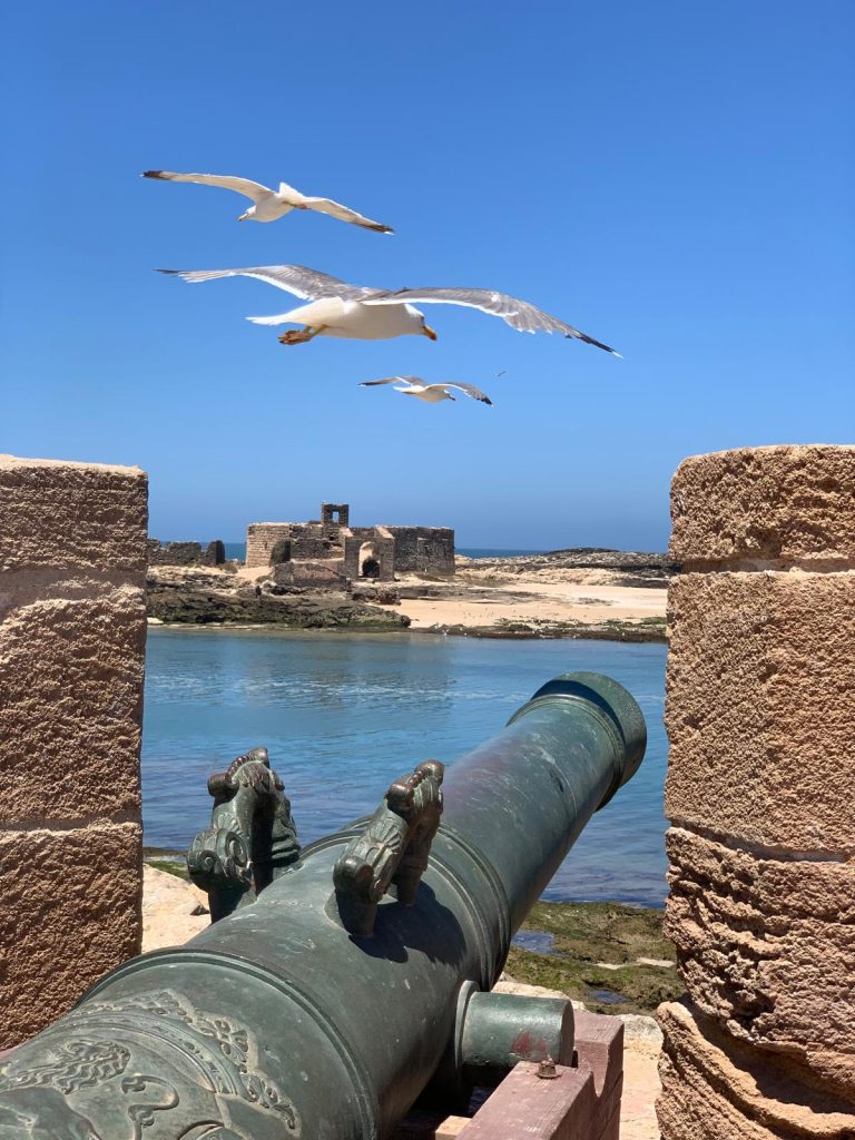 Old cannon pointing out to sea, a reminder of the city's strategic importance