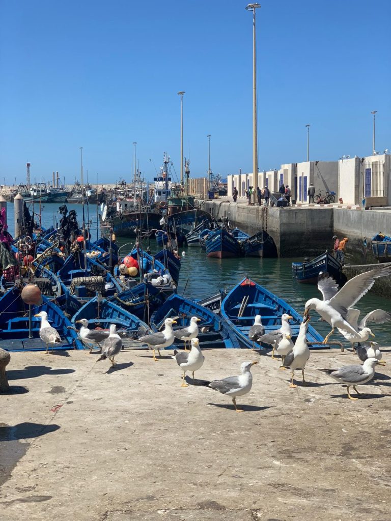 essaouira port