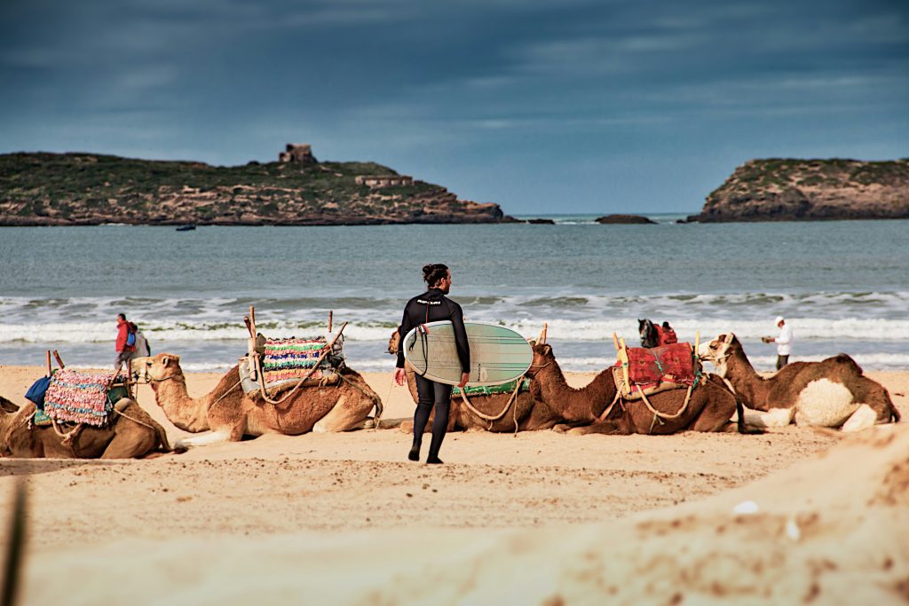 surfing essaouira