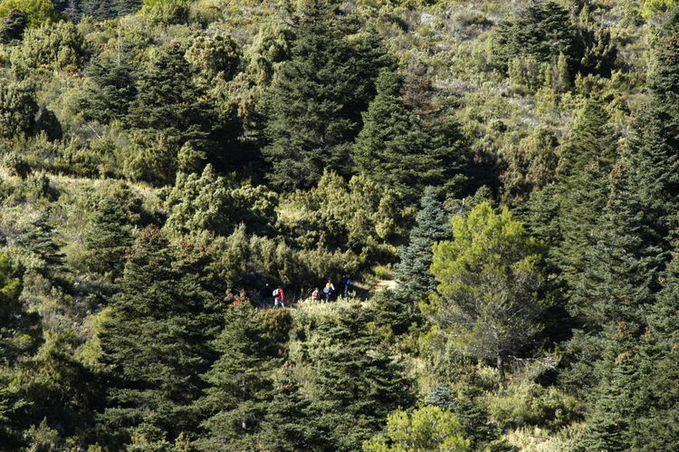 sierra de las nieves