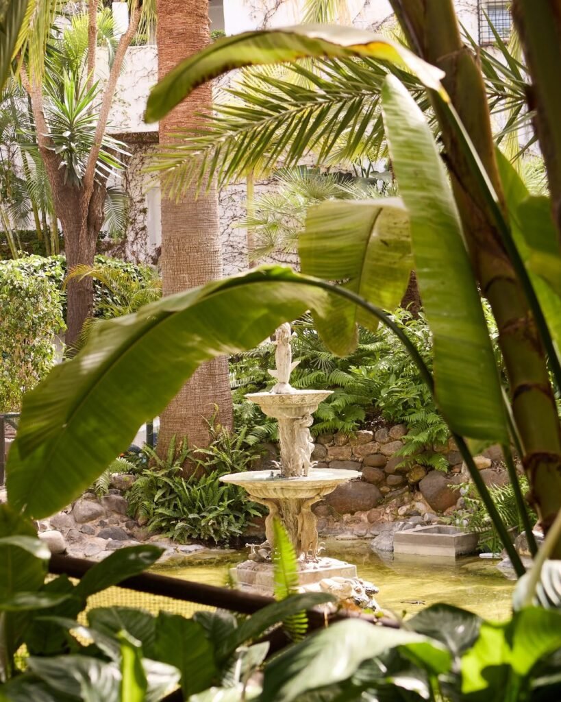 Cipriani Marbella
